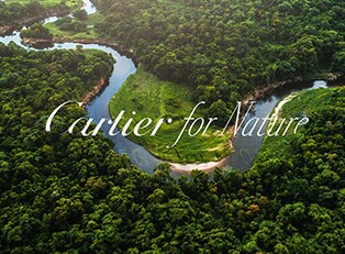 Cartier for Nature